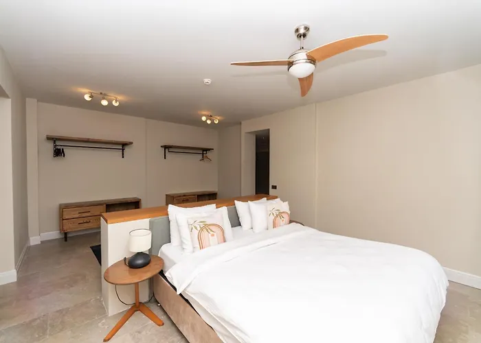 Vistaport B - Luxury With Private Pool And Sea View 博德鲁姆